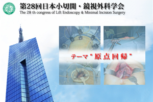 第28回小切開・鏡視外科学会公式ホームページ